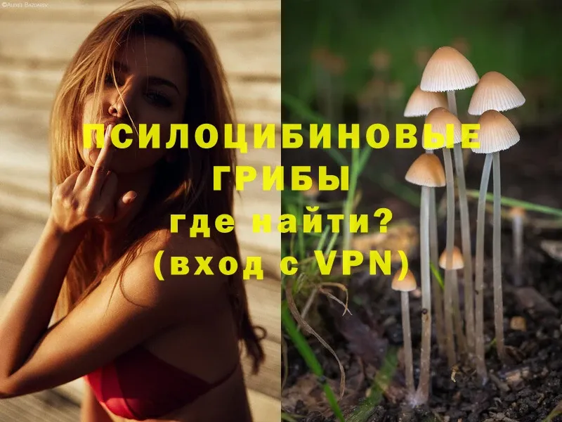 Псилоцибиновые грибы Magic Shrooms  Краснотурьинск 